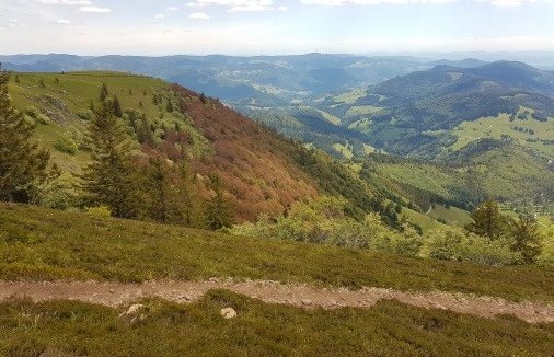 Projet Interreg Rhin Supérieur Clim’Ability Design