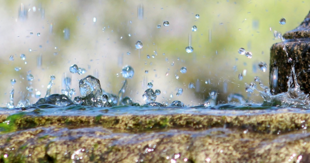 Replay : présentation publique du projet DIMus PLUIE au CGLE 2023