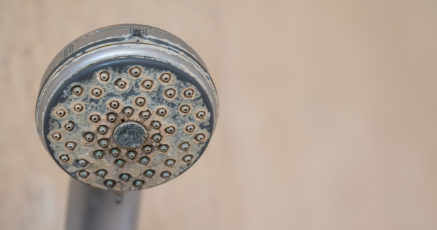 Appel à communication (clos) : Lutte contre les dépôts et biofilms, comment limiter l’impact sur la santé et l’environnement ?