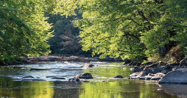 Lancement de la 3ème édition du Prix National du Génie Écologique