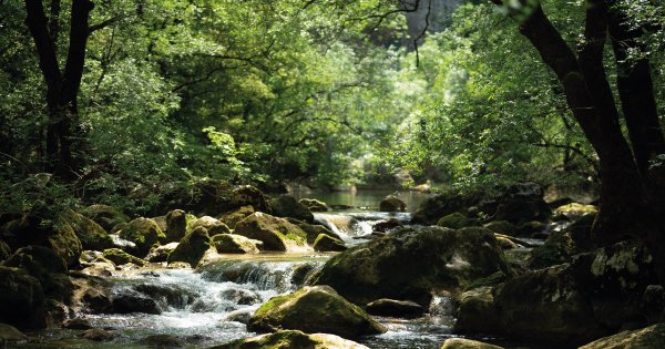 Prolongation de l’appel à candidatures du Prix National du Génie Écologique 2020