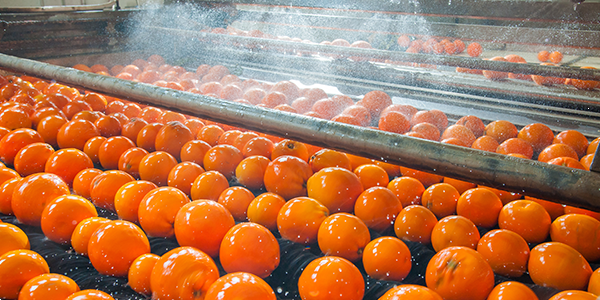 Gestion de l’eau en industrie agro-alimentaire