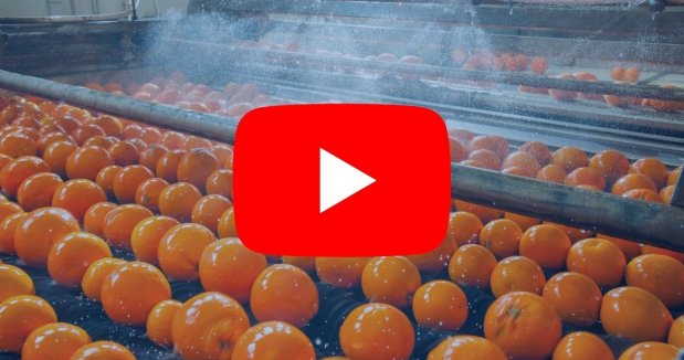 Replay : Atelier réutilisation des eaux industrielles en agroalimentaire